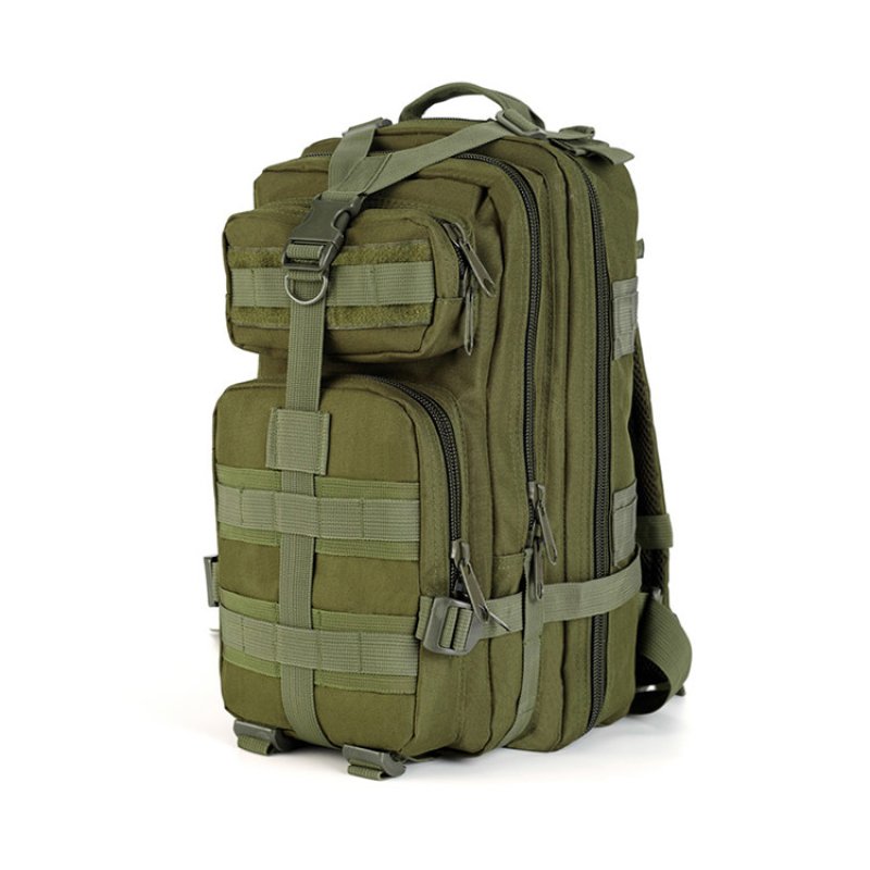 Tactical backpack ASSAULT 20L Delta Armory Oliva 